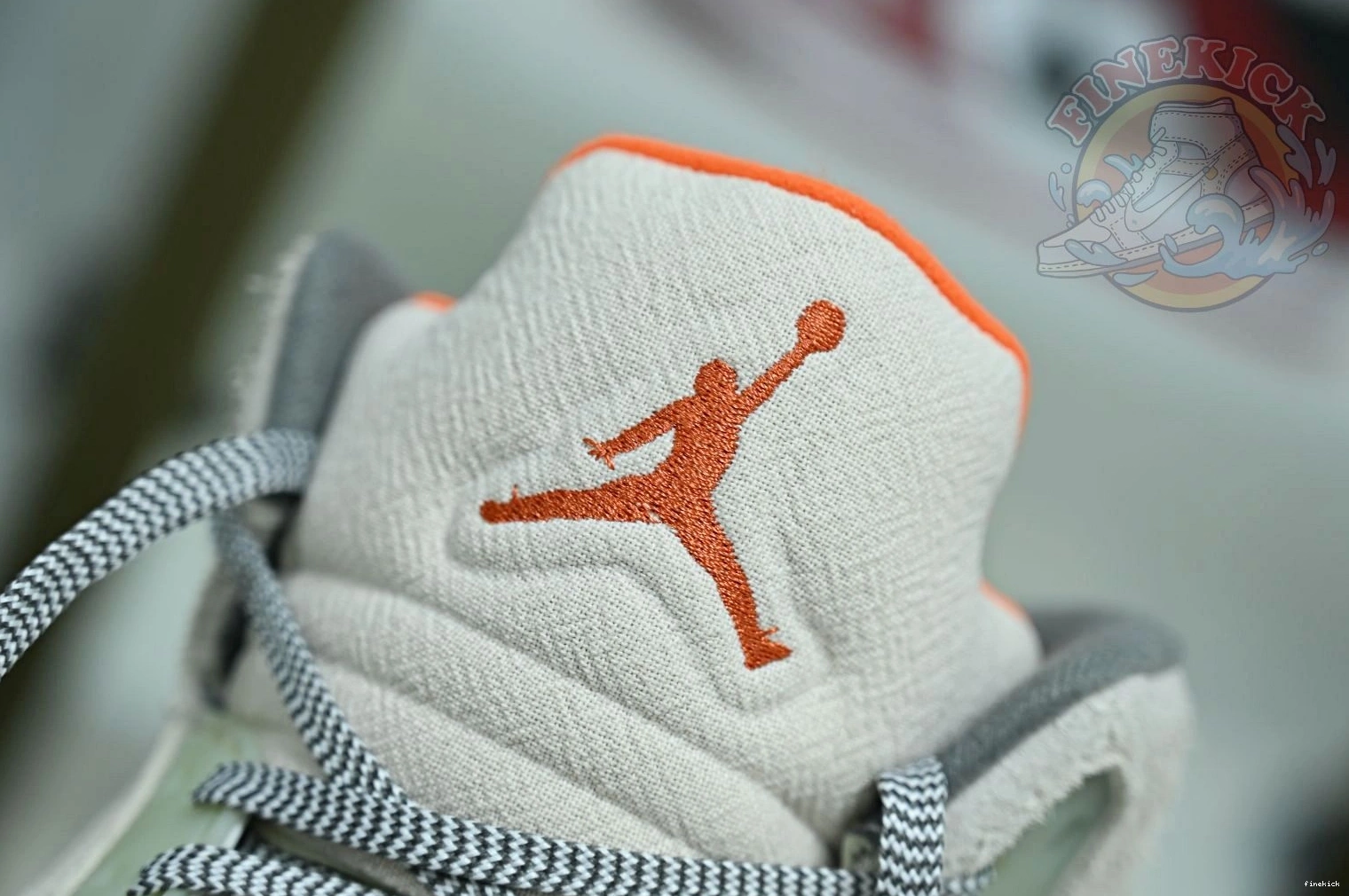Jordan5 Air Jordan SE
